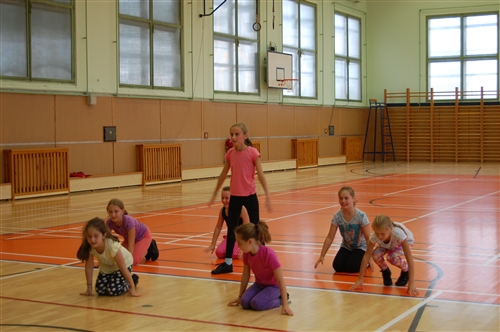 Obrázek v galerii